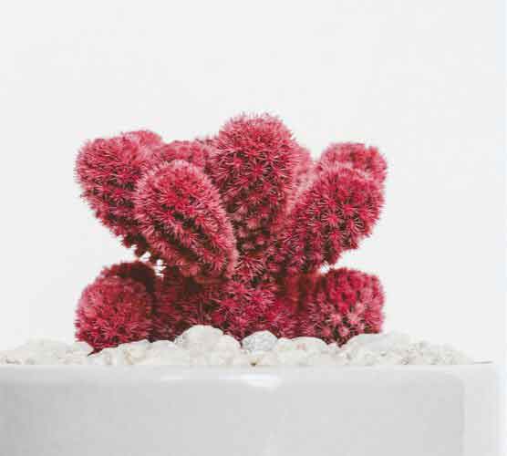 至尊版无敌的免费ddos防火墙